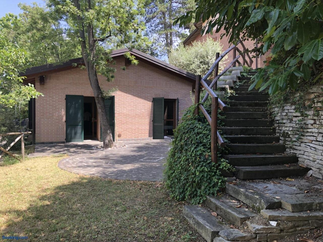 B&B La Collina degli Ulivi