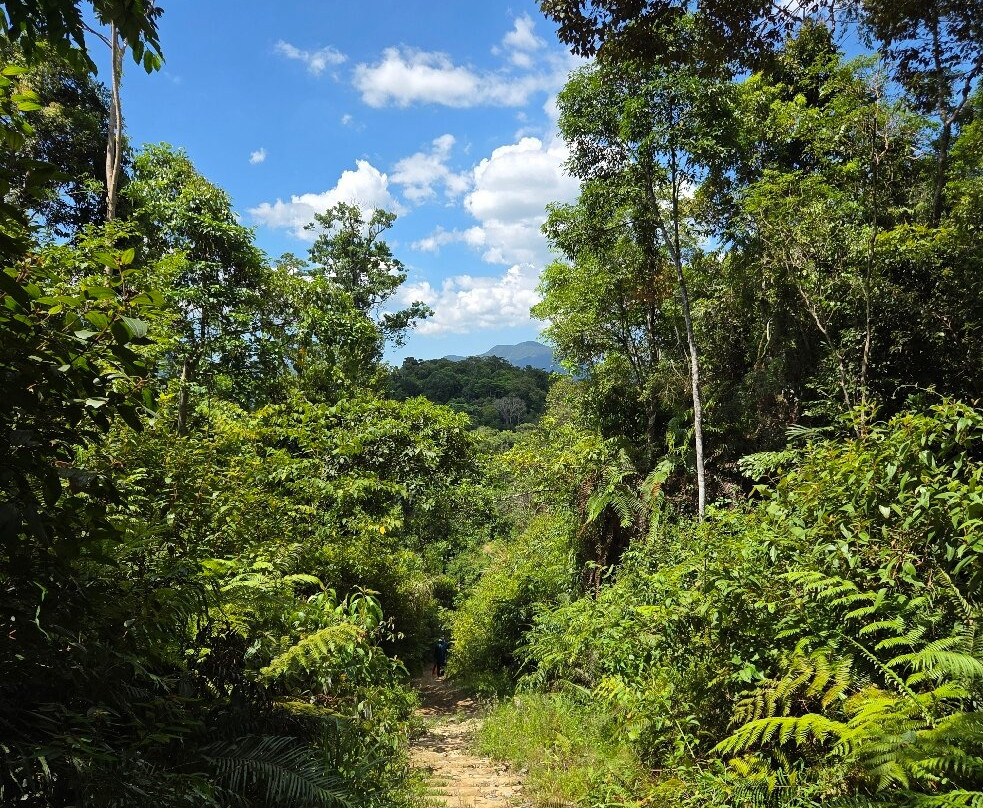 Annam Tour-Dong Ha必去景点