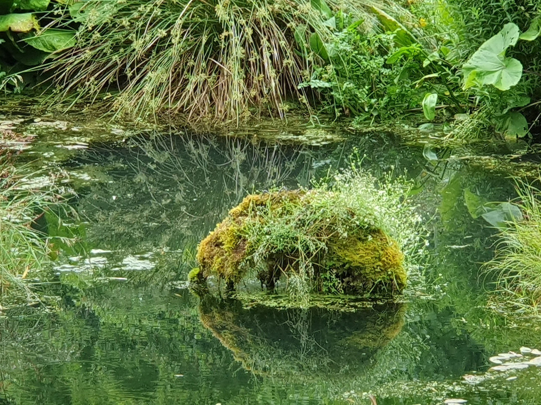 特雷巴花园-Mawnan Smith必去景点