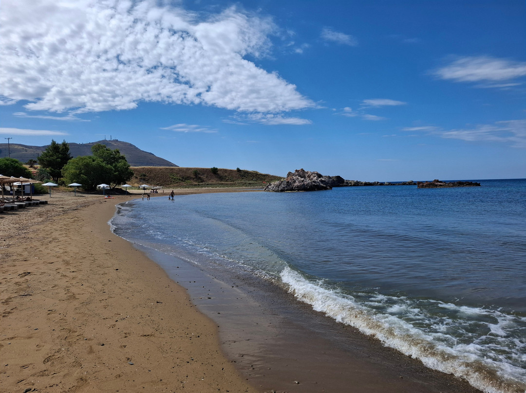Hotel Porto Plaza Beach Resort主图
