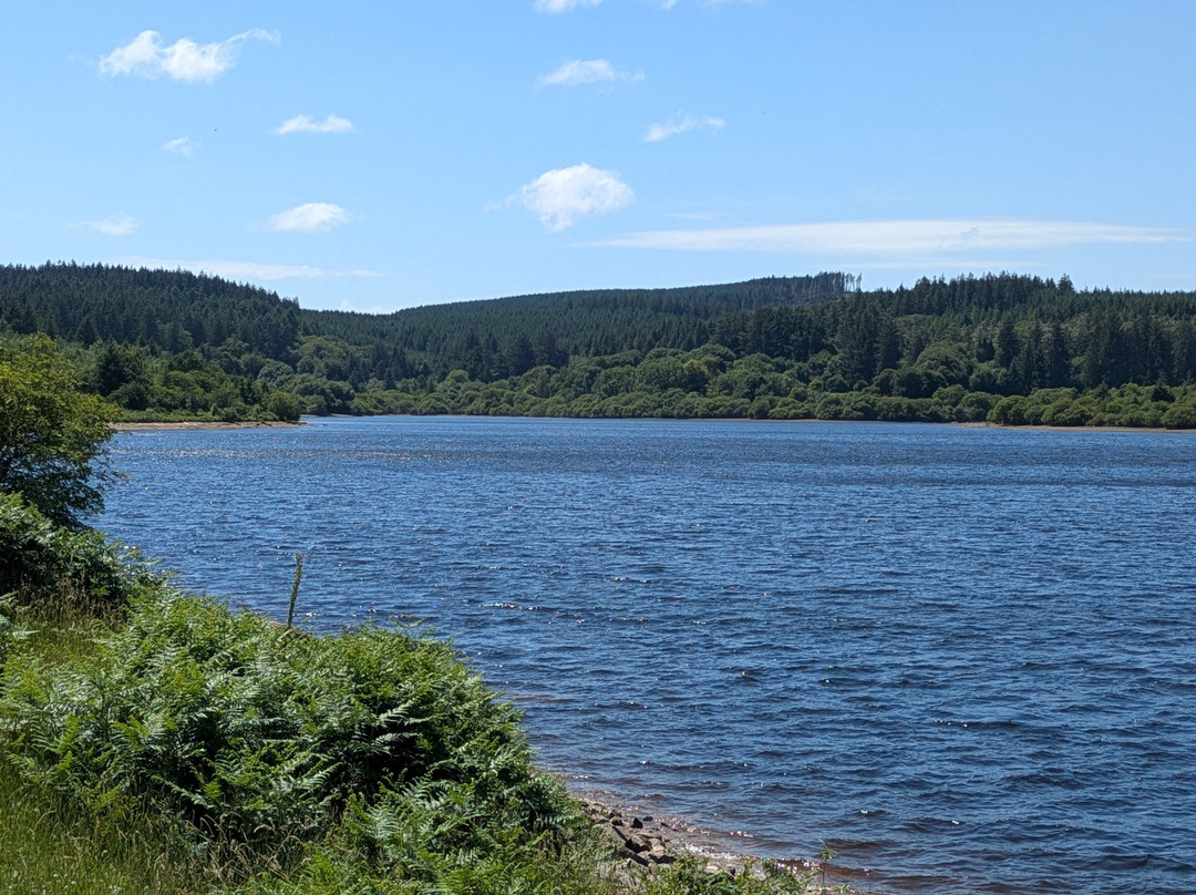 Fernworthy Reservoir-Chagford必去景点