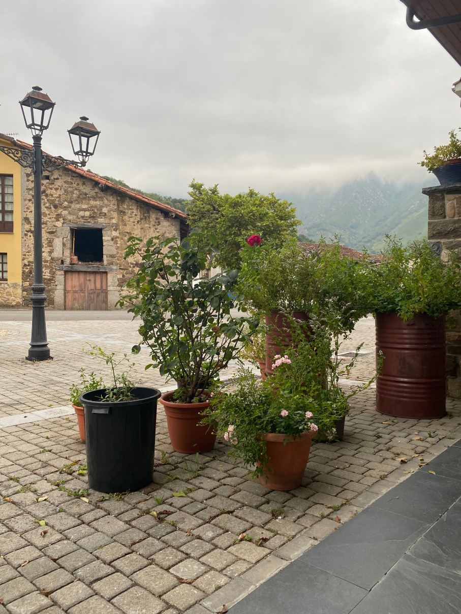 Hotel Rural El Secreto de Julia-旅行者
