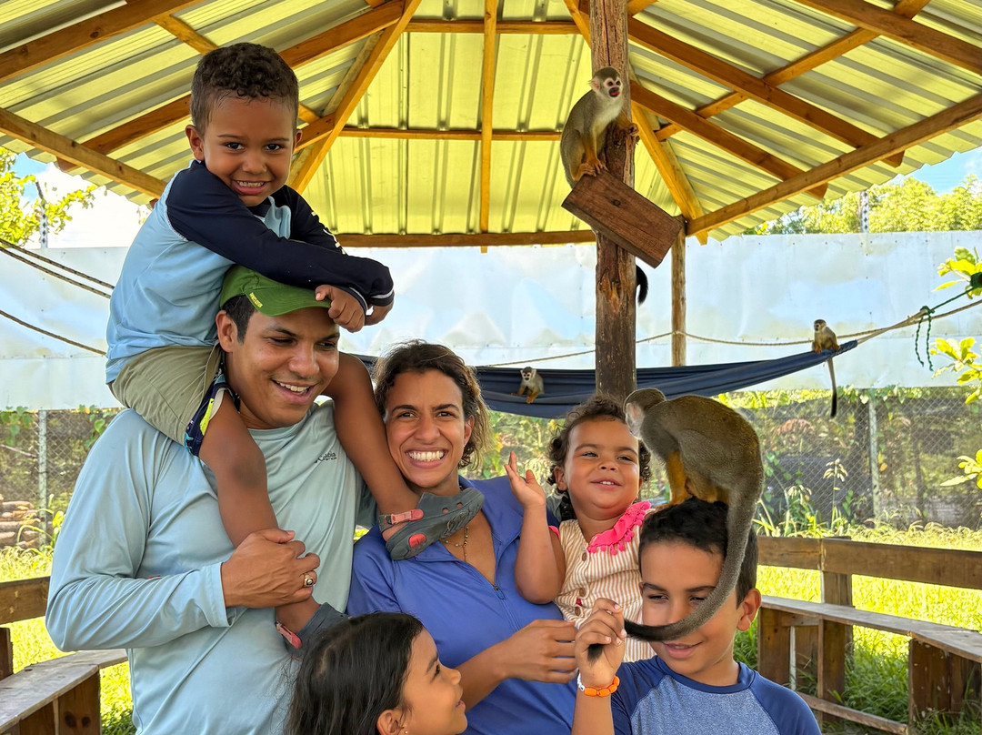 Monkey Home Puerto Plata-普拉塔港必去景点
