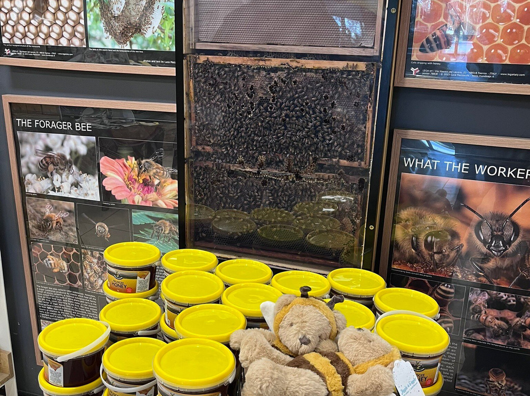 Mudgee Honey Haven-马奇必去景点
