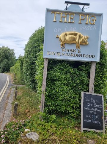THE PIG-on the beach-旅行者