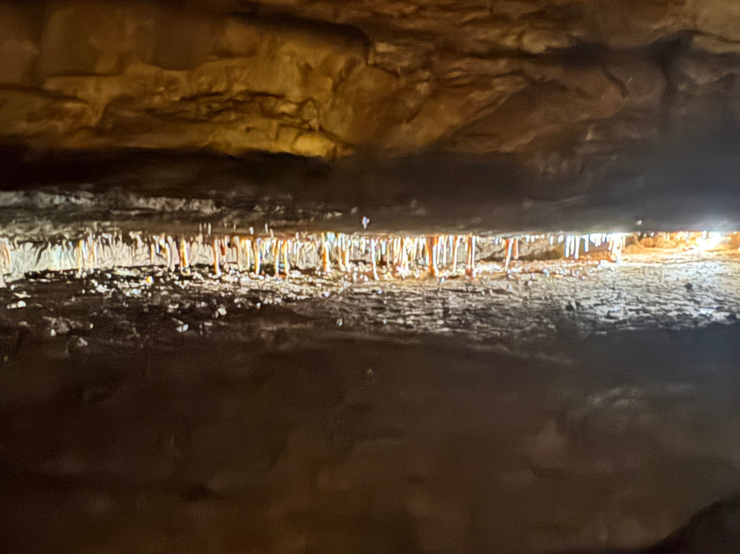 Grottes de Lacave-Lacave必去景点