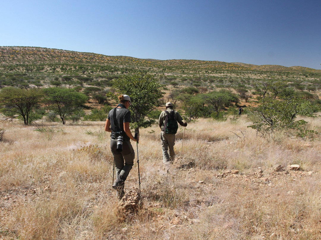 Kunene Elephant Walk-Sesfontein必去景点