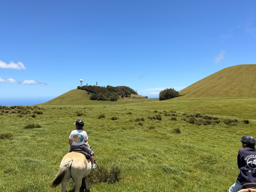 Na'alapa Stables - Kahua Ranch-卡慕也拉必去景点