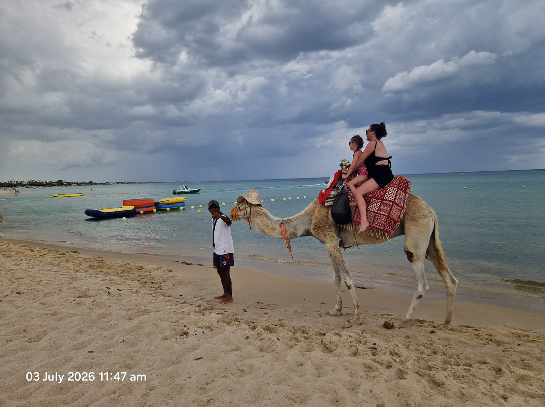 文希诺扎海滩酒店(VINCCI NOZHA BEACH)主图