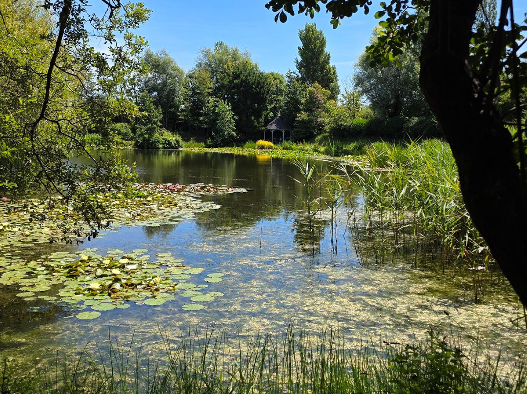Bennetts Water Gardens-Chickerell必去景点