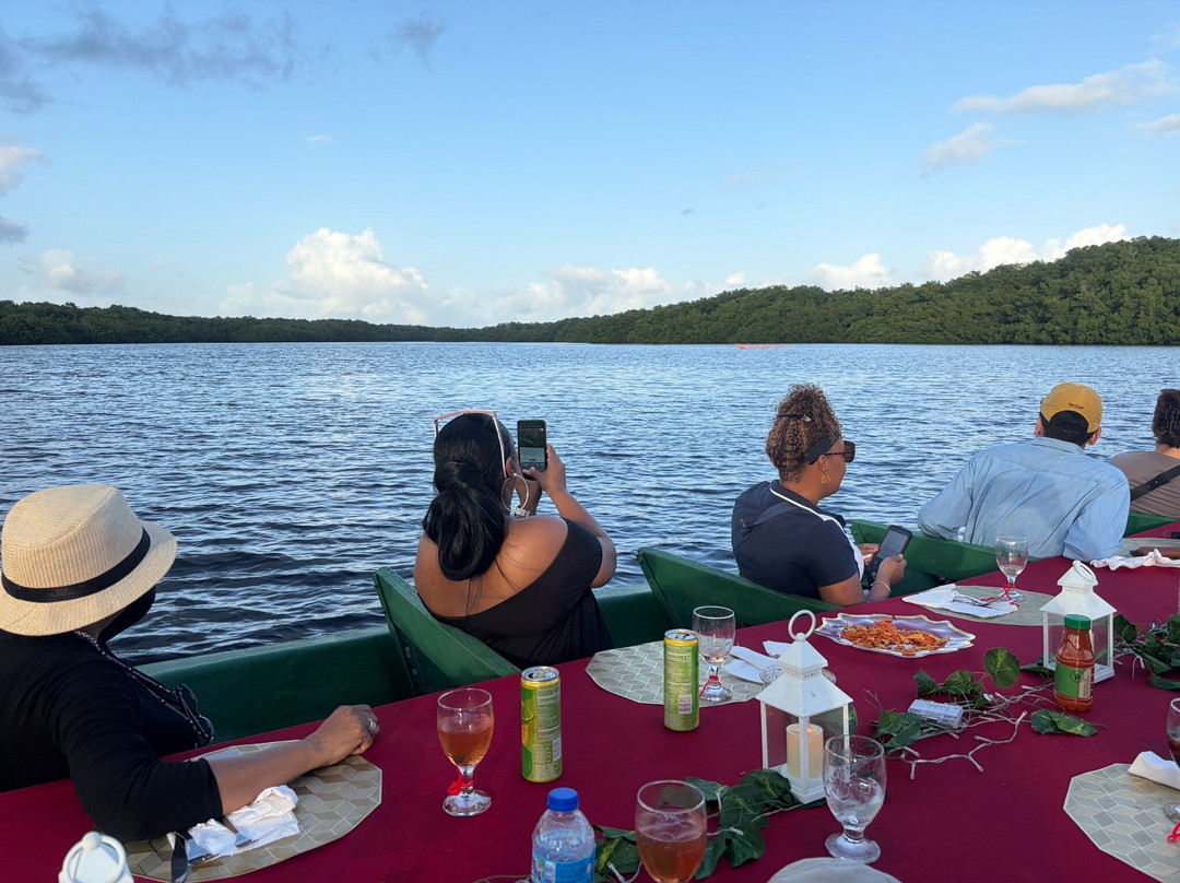 Nanan's Caroni Bird Sanctuary Tours-Caroni必去景点