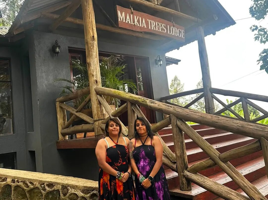 女王树小屋旅馆主图