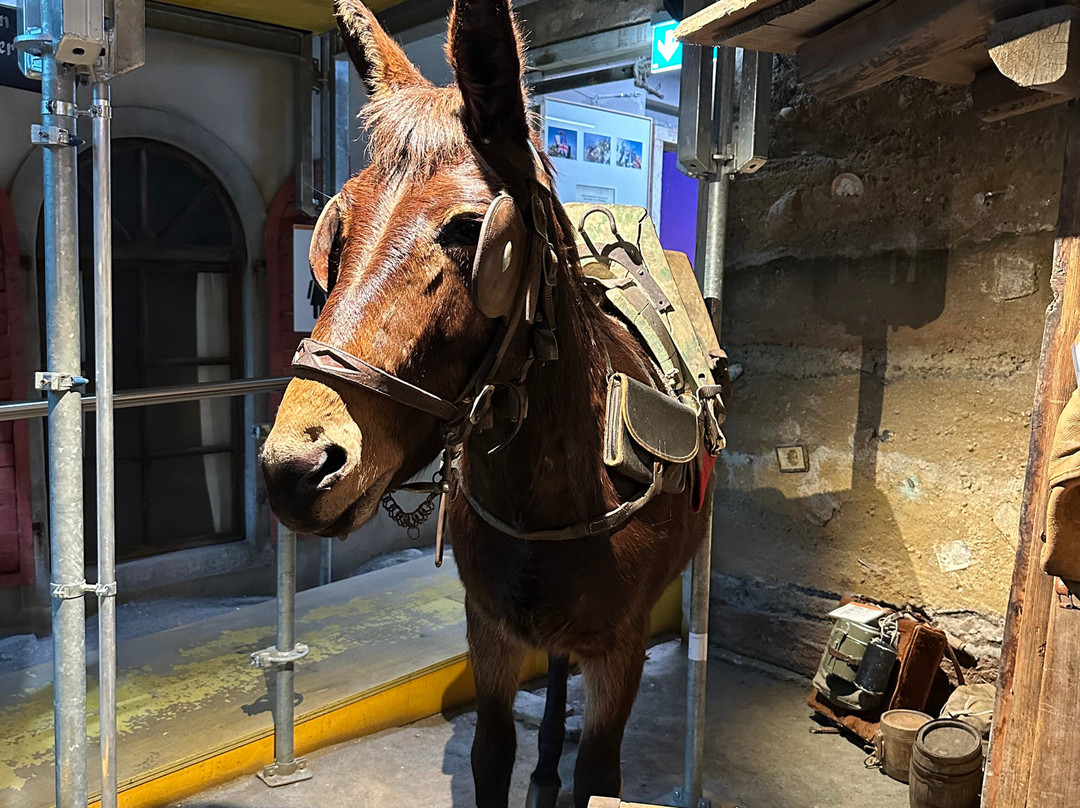 Matterhorn Museum - Zermatlantis-策马特必去景点