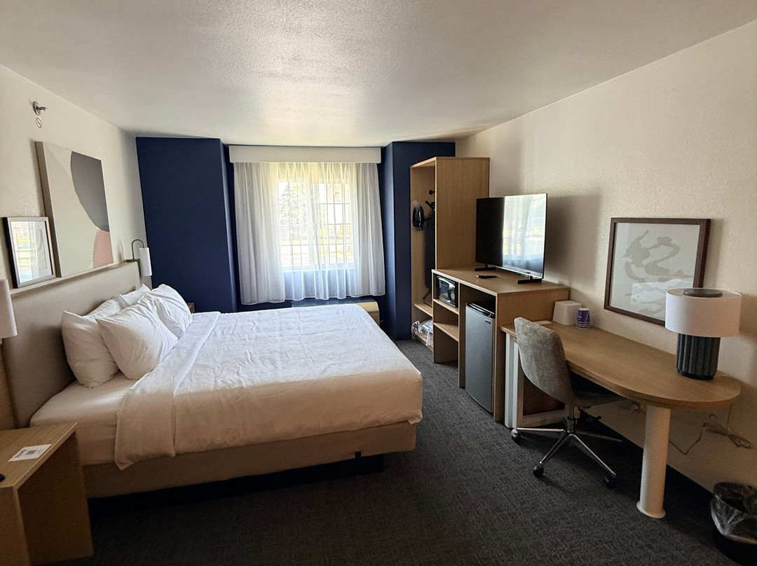 Shiocton酒店住宿-Microtel Inn & Suites By Wyndham Appleton