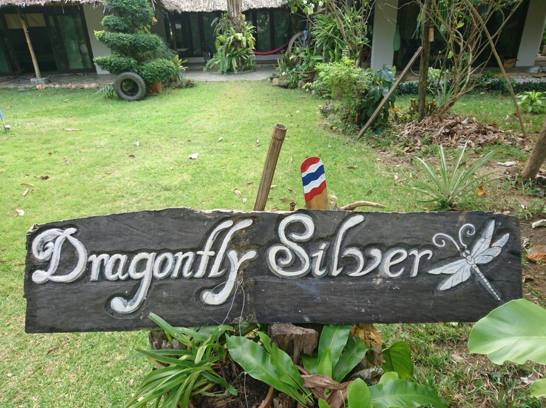 Dragonfly Silver Jewellery Making-奥南必去景点