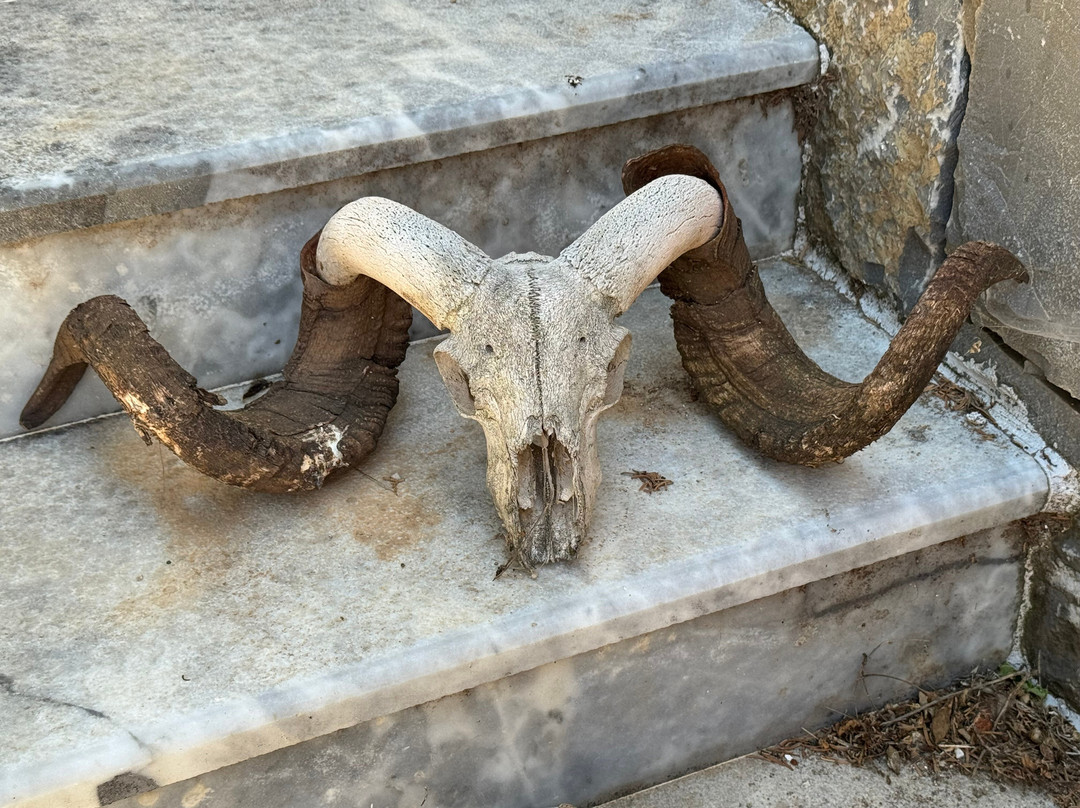 Homo Sapiens Village-Ano Kera必去景点