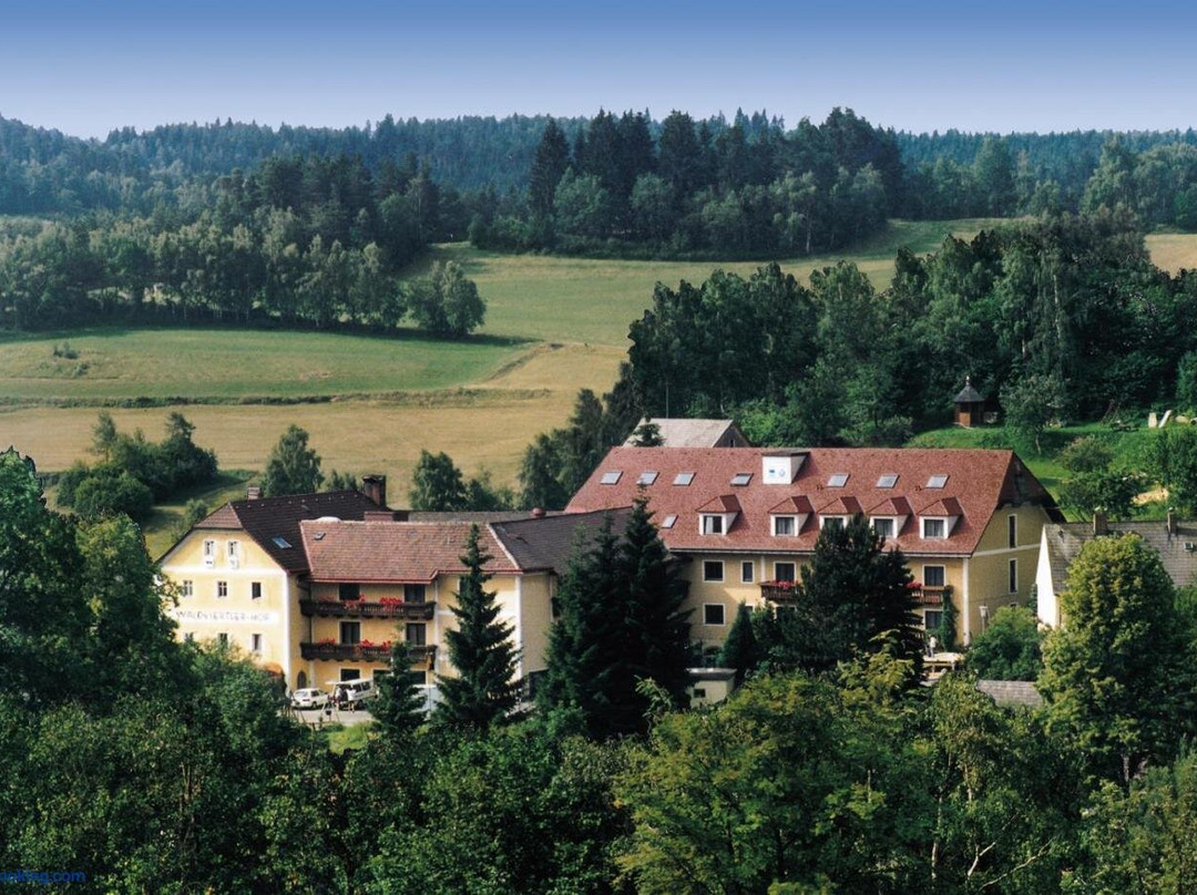 Bad Grosspertholz酒店住宿-Waldviertler Hof