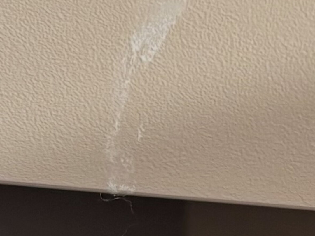 阿姆斯特丹竞技场OZO酒店主图