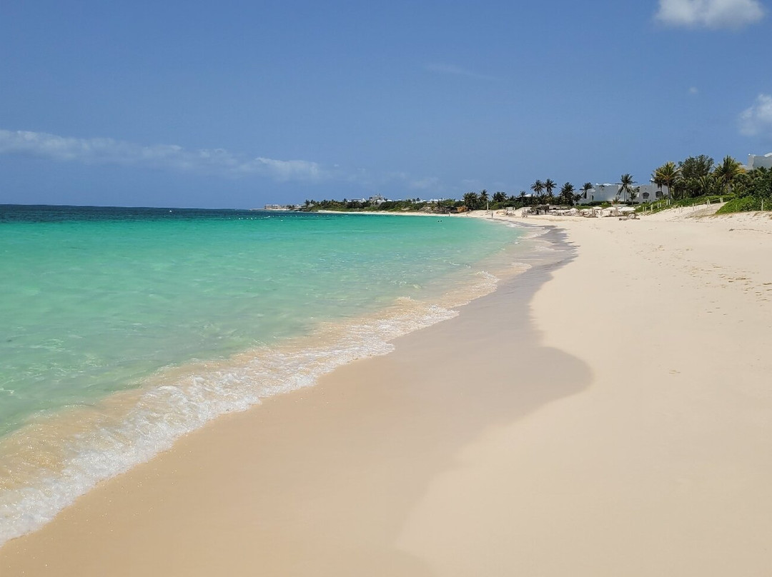 Scoobi Catamaran Charters-Anse Marcel必去景点