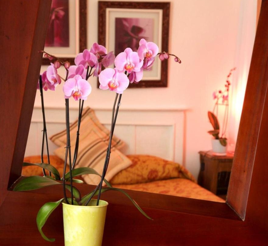 Chez Madame Cailleau