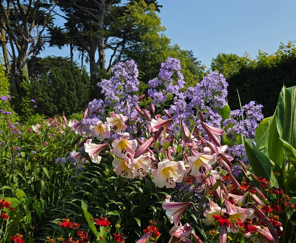 Glenarm Castle-Glenarm必去景点