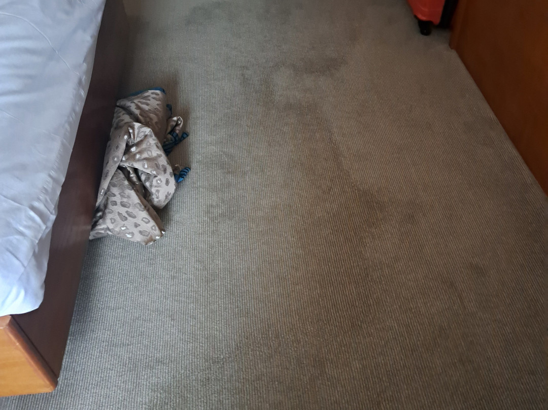皇家游艇酒店主图