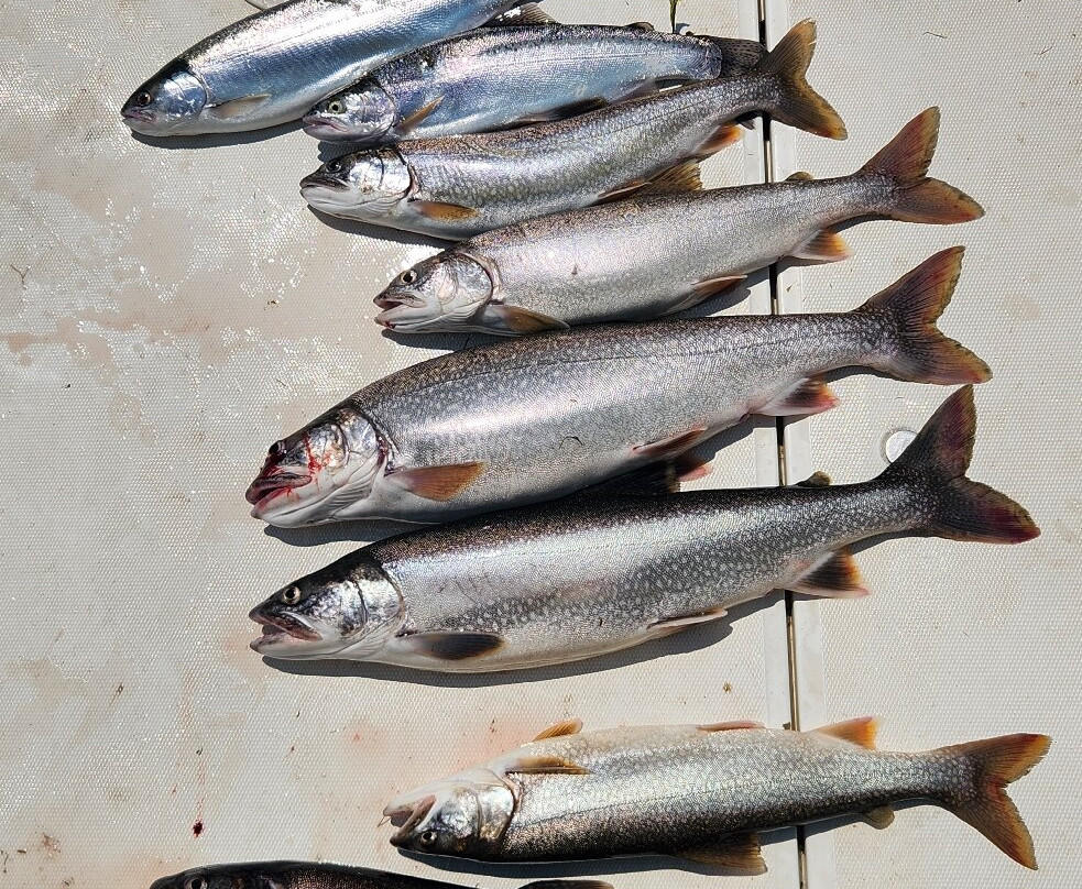 Eagle Rock Fishing Charters-Cayuga必去景点