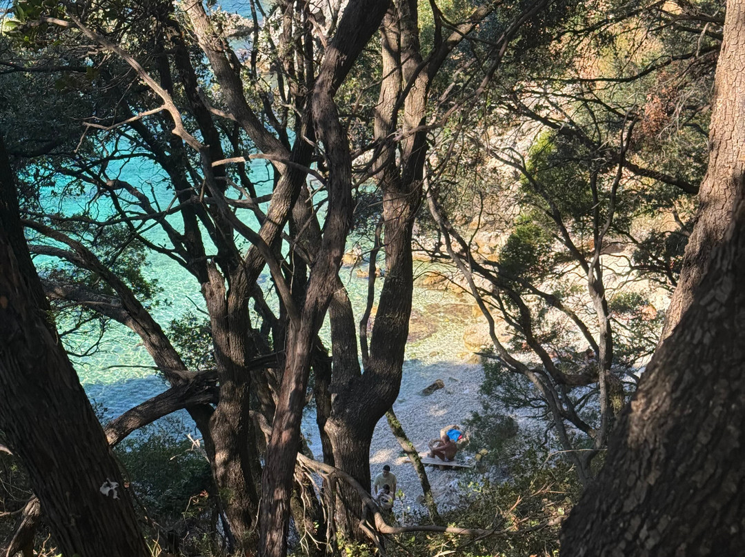 Limni Beach-Paleokastritsa必去景点