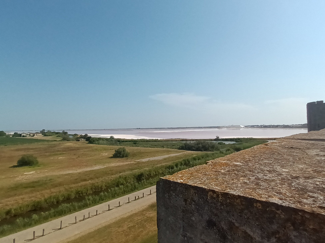 Towers and Ramparts of Aigues-Mortes-艾格莫尔特必去景点
