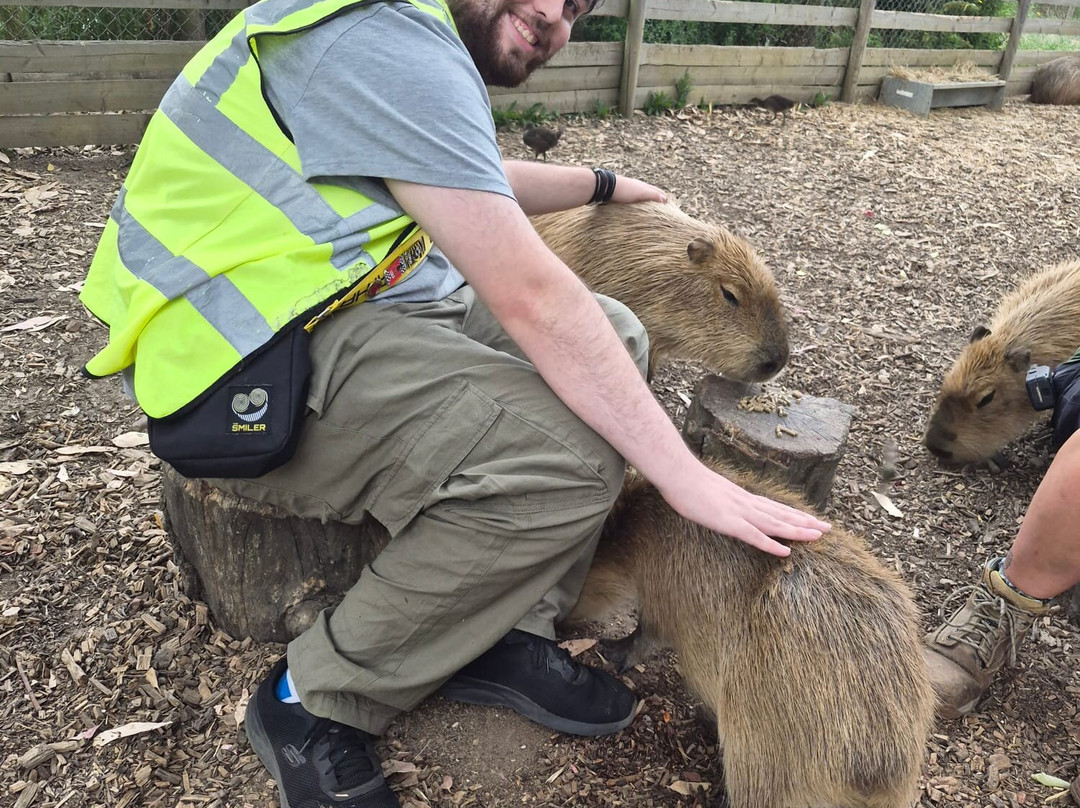 Wingham Wildlife Park-Wingham必去景点