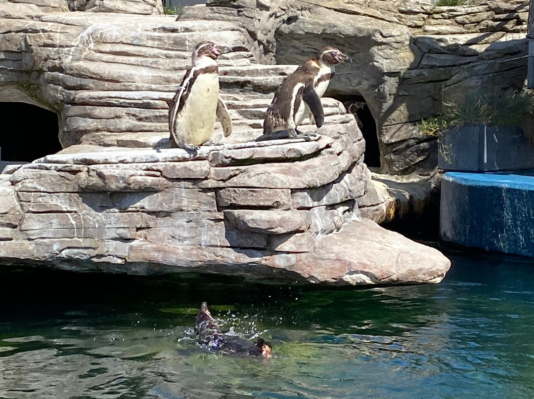 Ozeaneum-施特拉尔松德必去景点