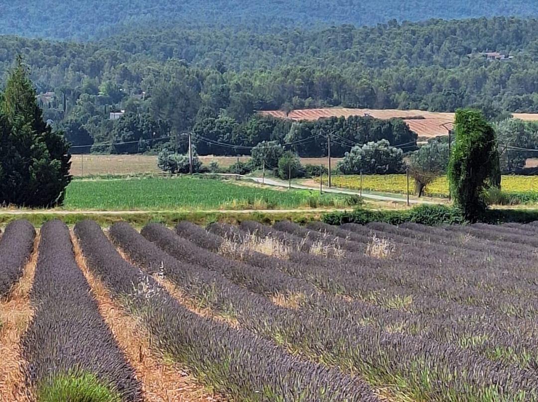 Artelier Provence-Jouques必去景点