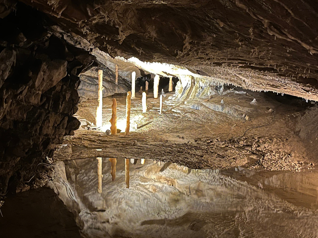 Grottes d'Osselle-Roset-Fluans必去景点