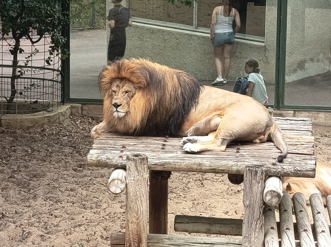 Zoo de La Palmyre-La Palmyre-Les Mathes必去景点
