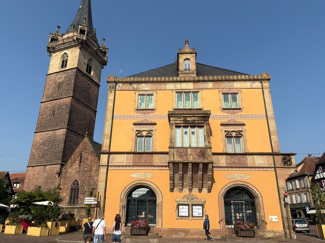 Parcours Historique d'Obernai-奥贝奈必去景点