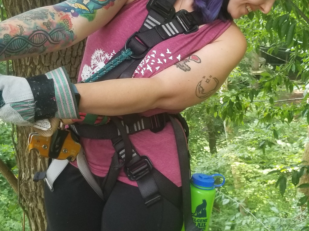 Common Ground Canopy Tours-Oberlin必去景点