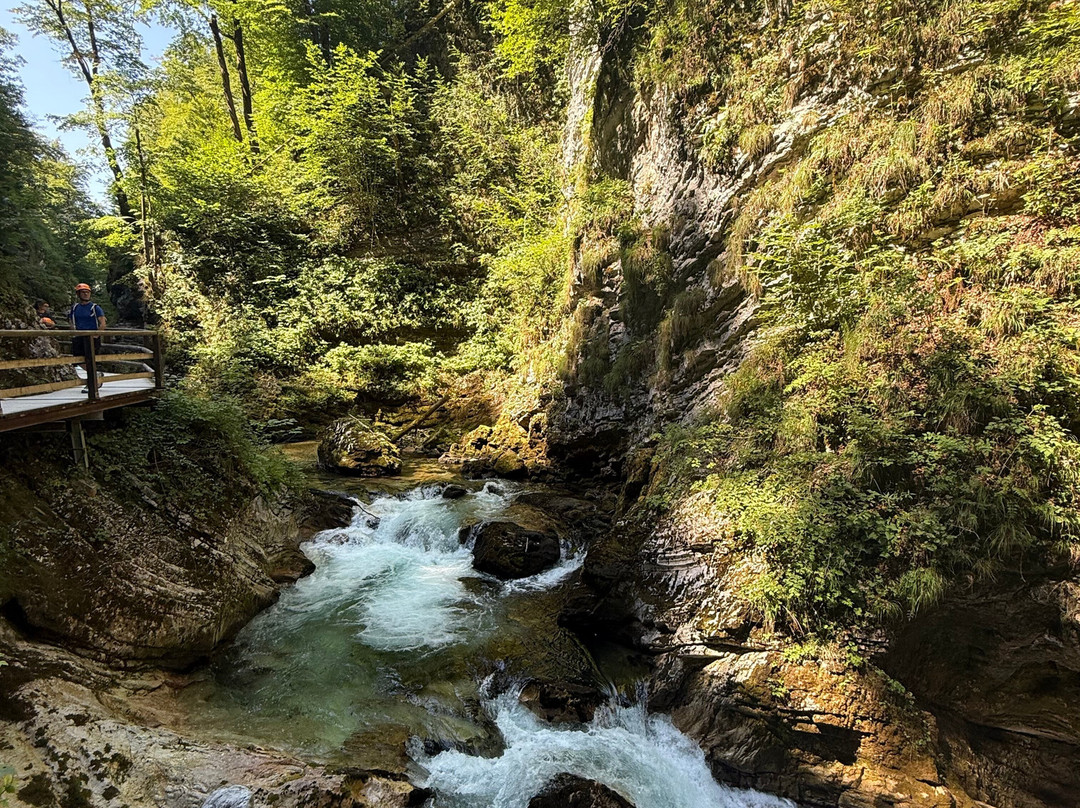 文特加峡谷（Soteska Vintgar）-Zgornje Gorje必去景点
