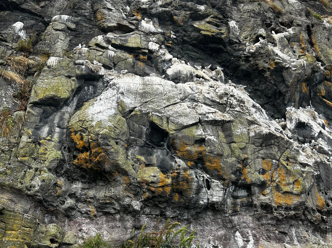The Gobbins Cliff Path-Larne必去景点