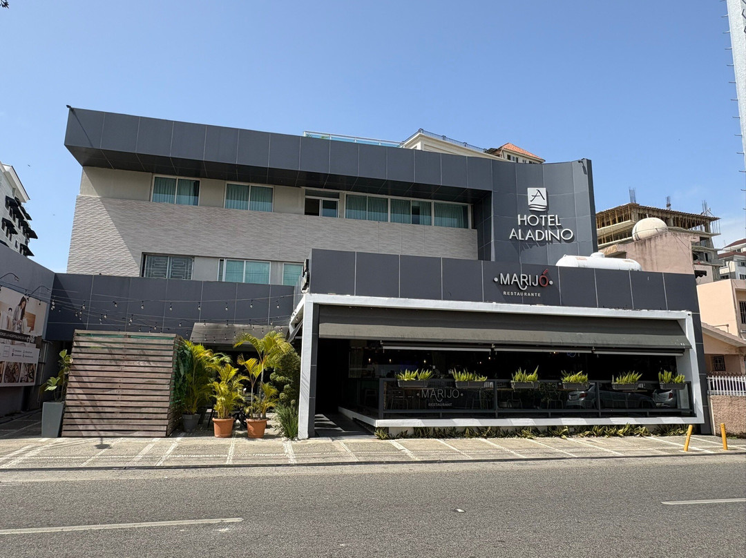 圣多明戈阿拉丁诺酒店主图