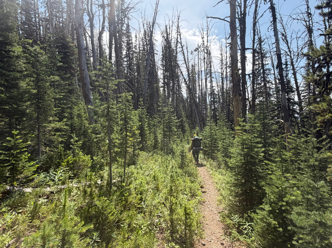 Yellowstone Hiking Guides-黄石国家公园必去景点