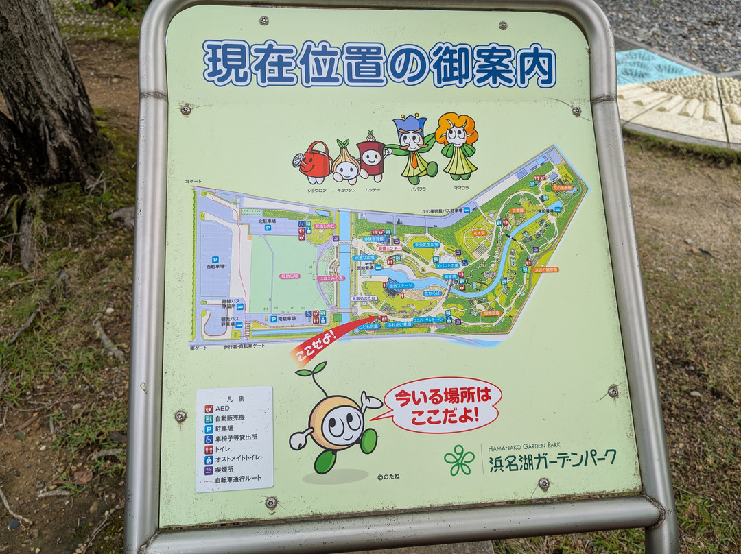 滨松花卉公园-滨松市必去景点