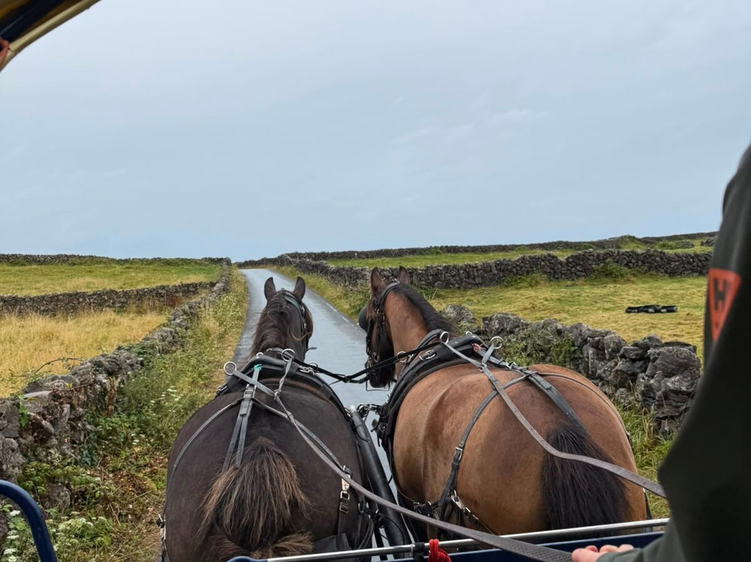 Thomas Faherty Tours-Inishmore必去景点