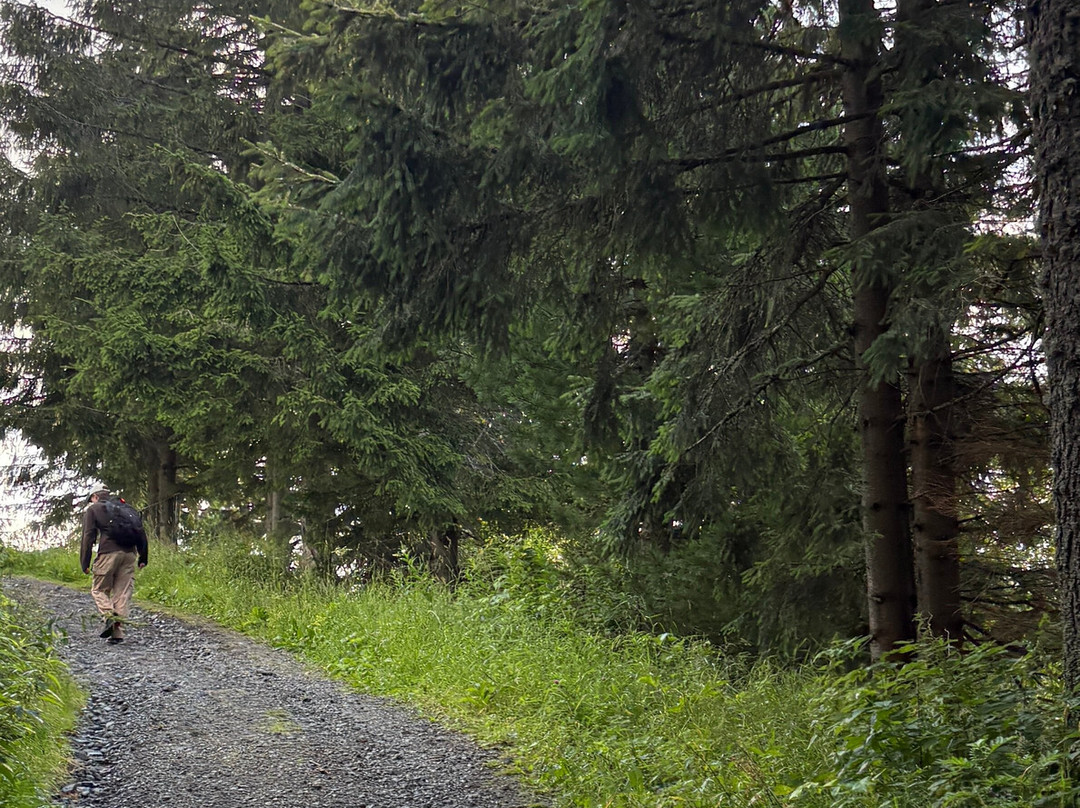 Low Tatras National Park-Brezno必去景点