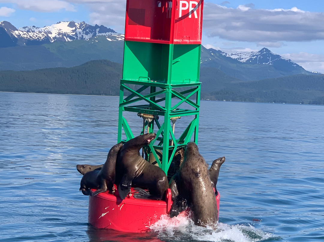 Haines-Skagway Fast Ferry-海恩斯必去景点