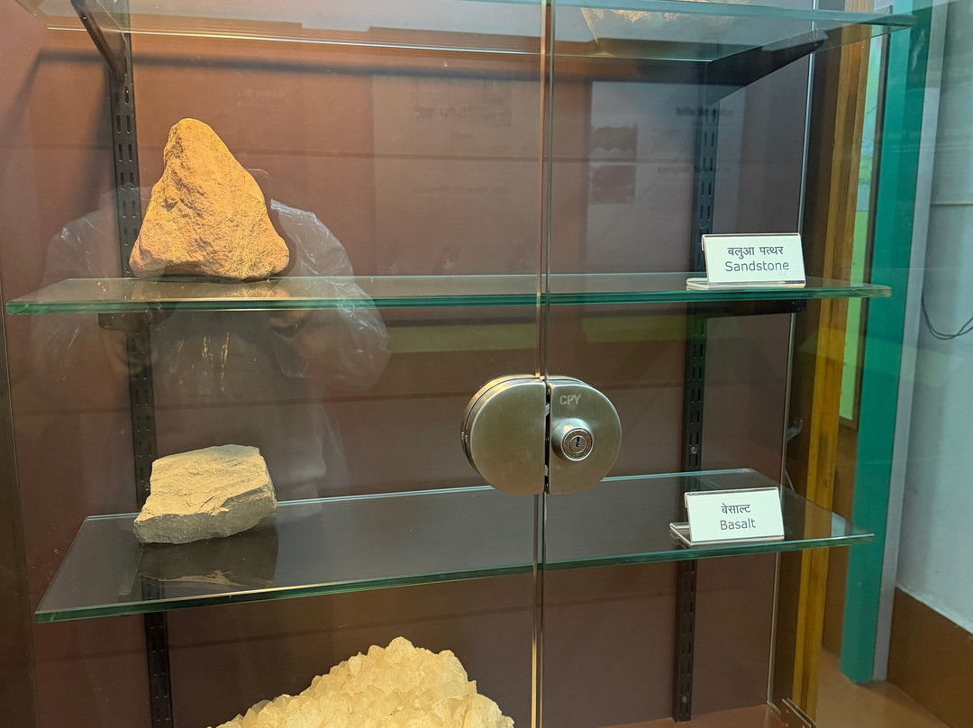 Bison Lodge Museum-潘恰玛必去景点