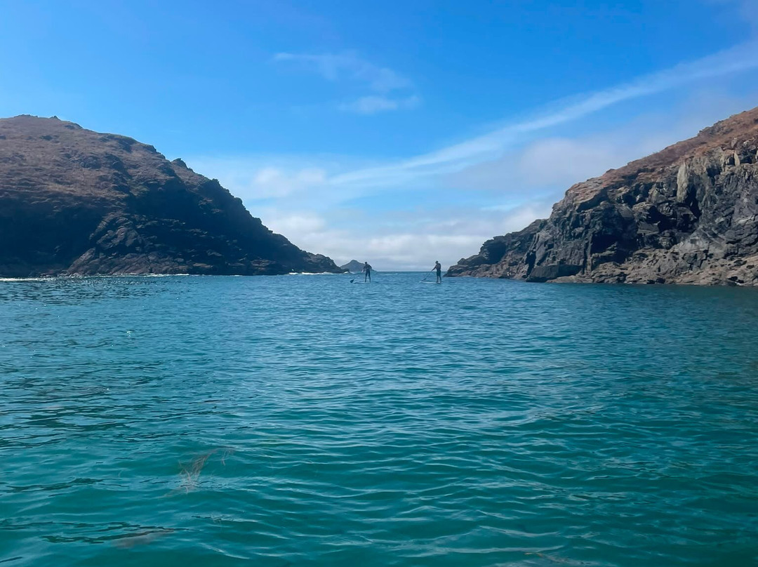Cornish Coast  Adventures-Port Isaac必去景点