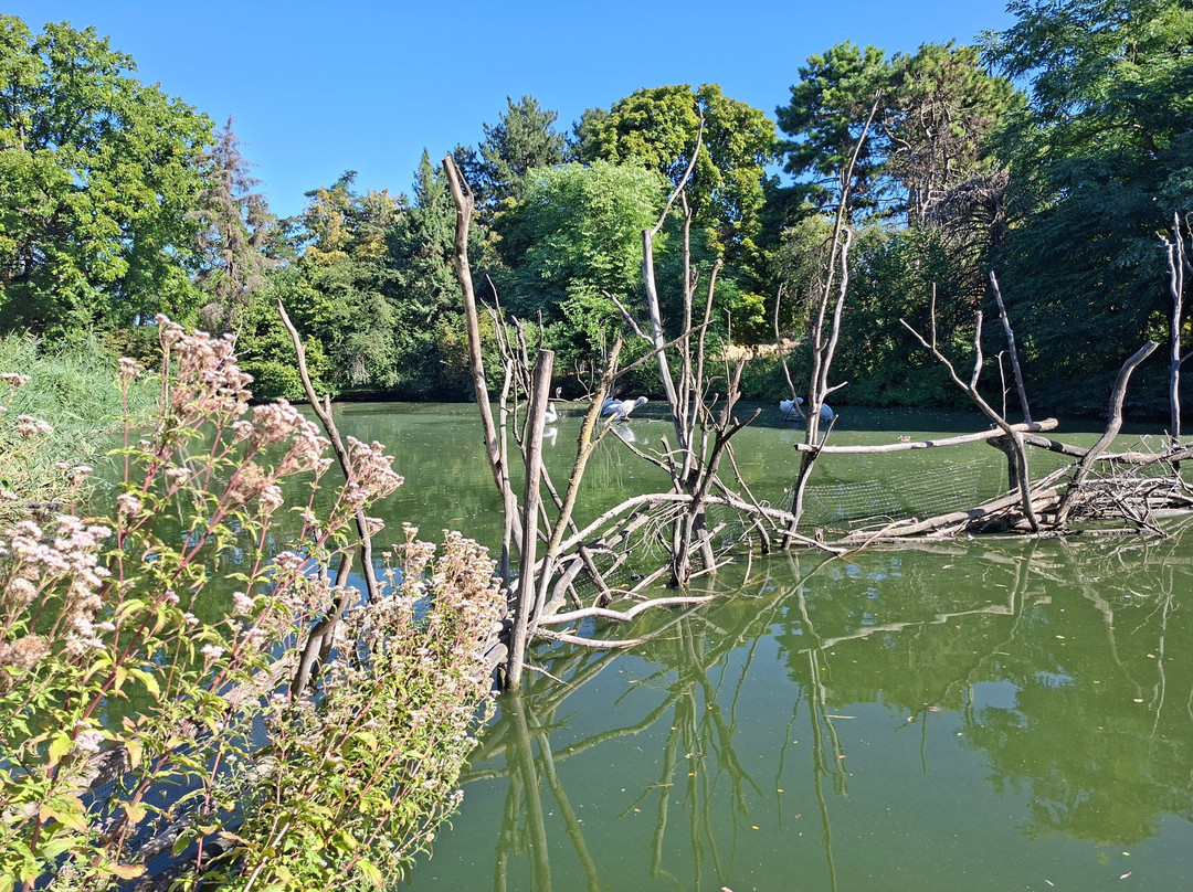 Zoo Heidelberg-海德尔堡必去景点