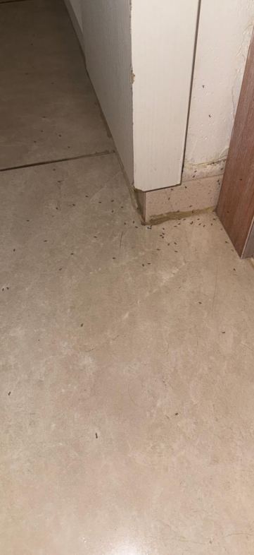 坎普德马阿露雅酒店-客卧