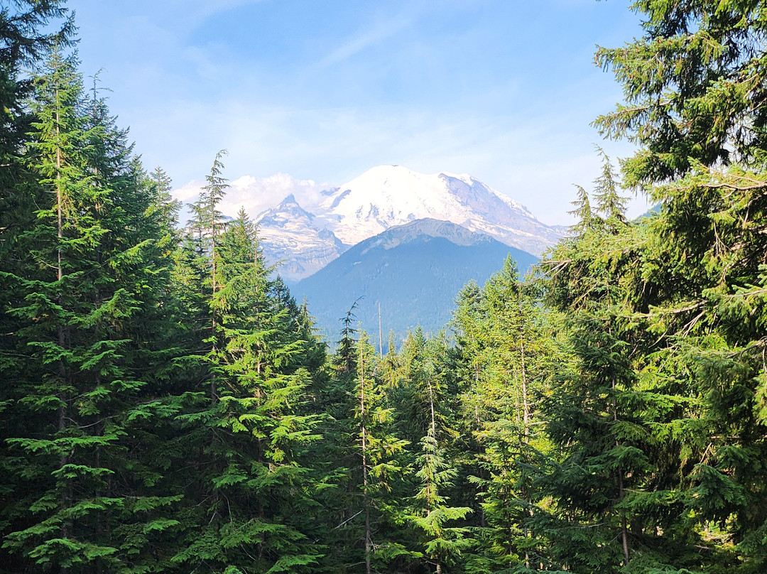 Mount Rainier National Park-阿什福德必去景点