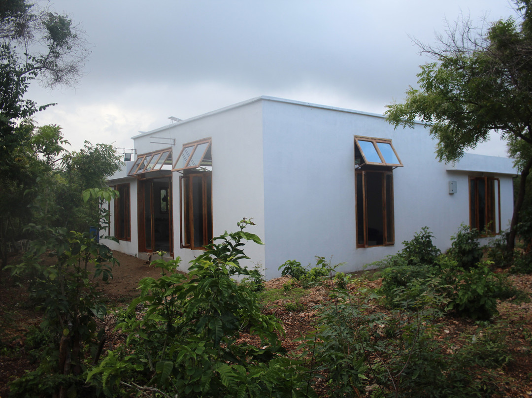 Wasini house